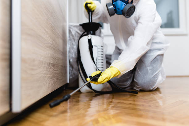 Wasp Removal Services in South Gull Lake, MI