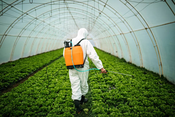 Reliable South Gull Lake, MI Pest Control Solutions