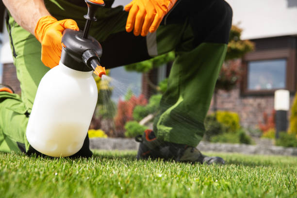 Wildlife Control Services in South Gull Lake, MI