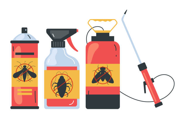 Best Spider Control Near Me  in South Gull Lake, MI